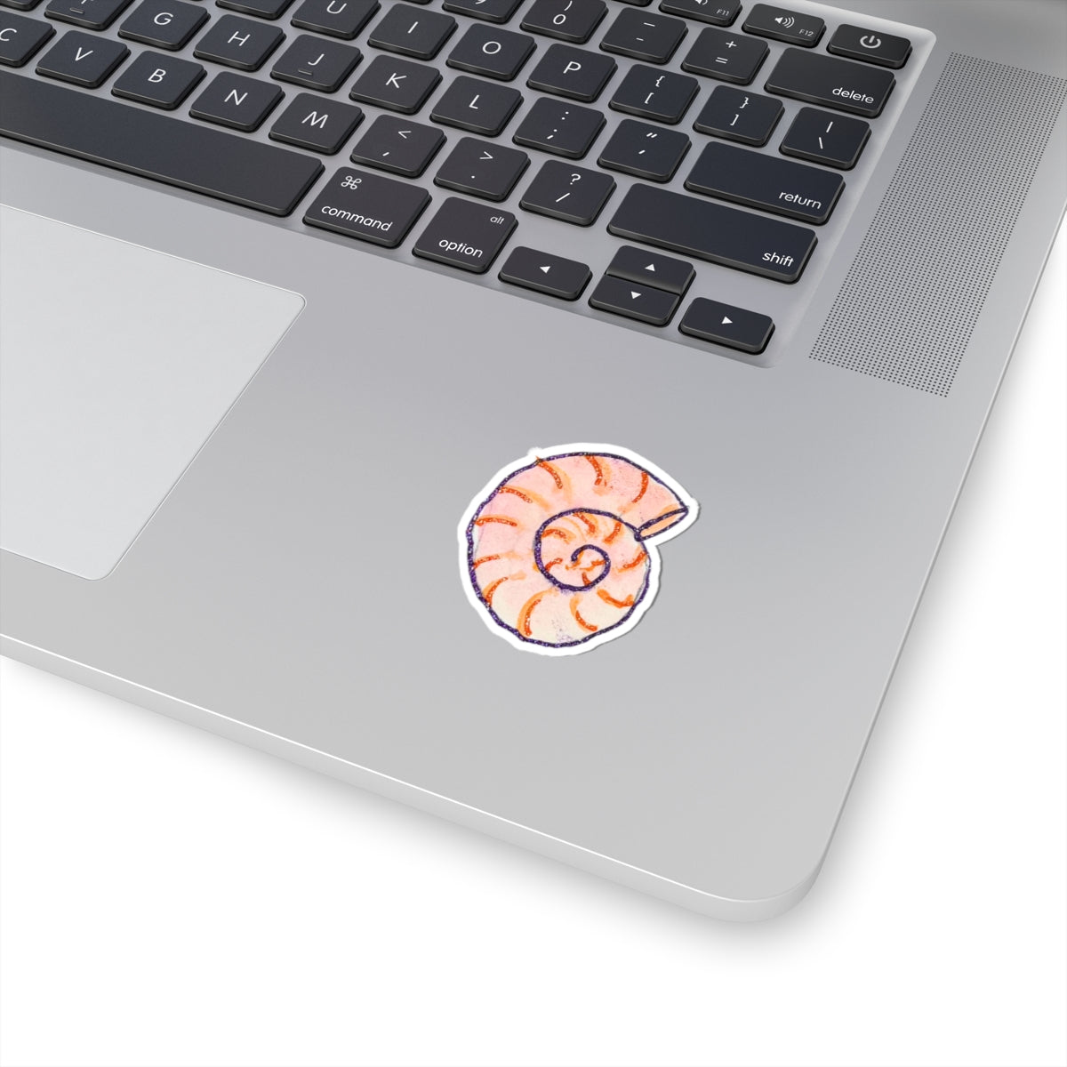 Shell Sticker