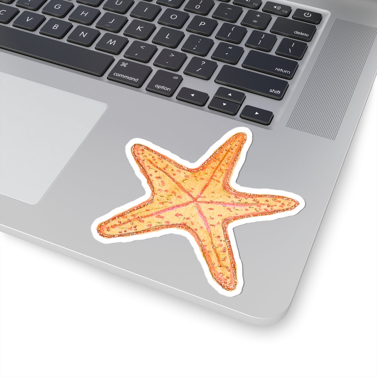 Starfish Sticker