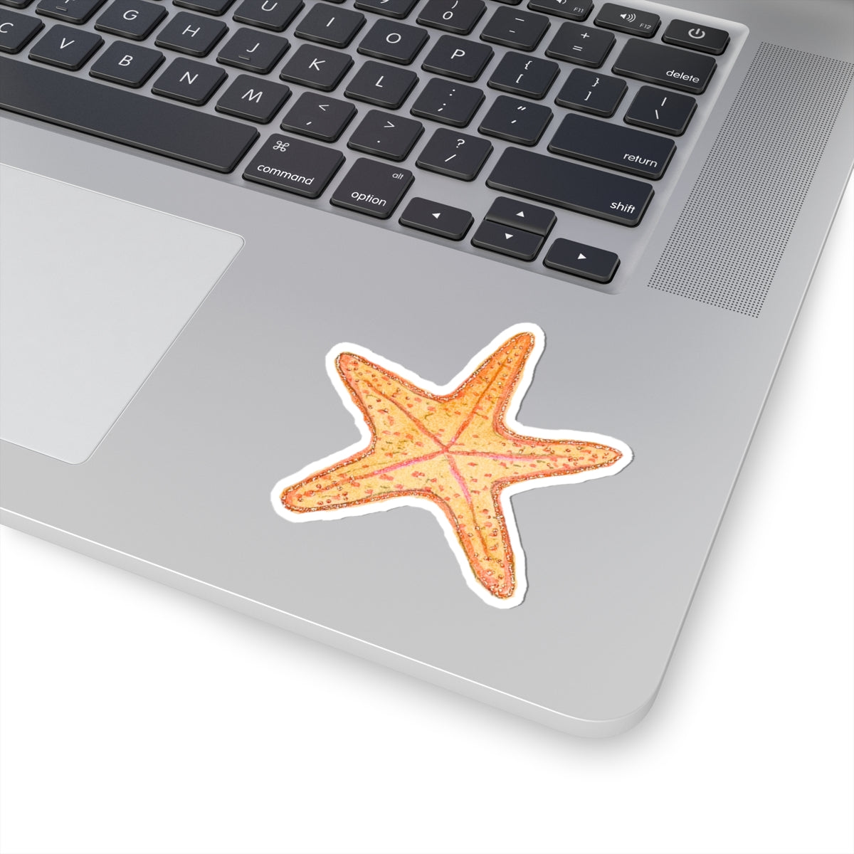 Starfish Sticker