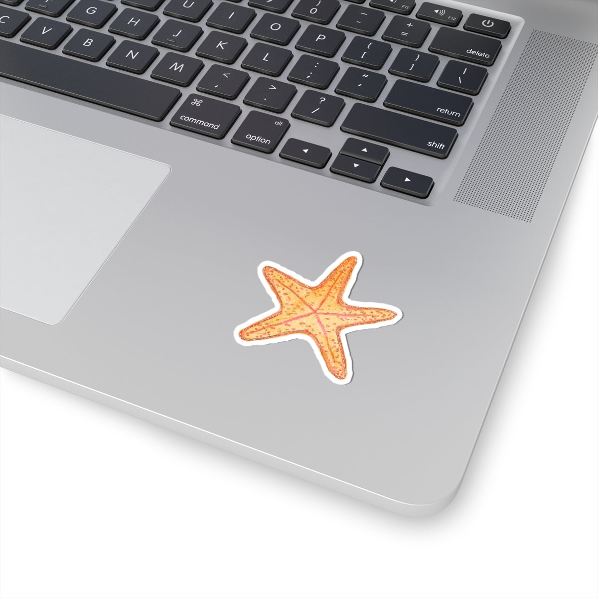 Starfish Sticker